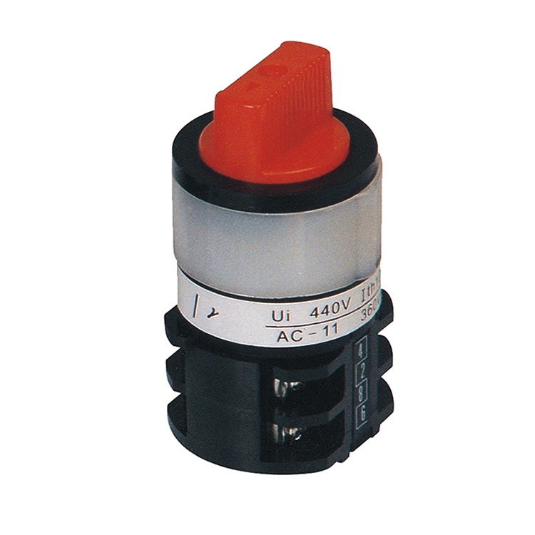 10A Center Hål Montering Tre positioner Cam Switch