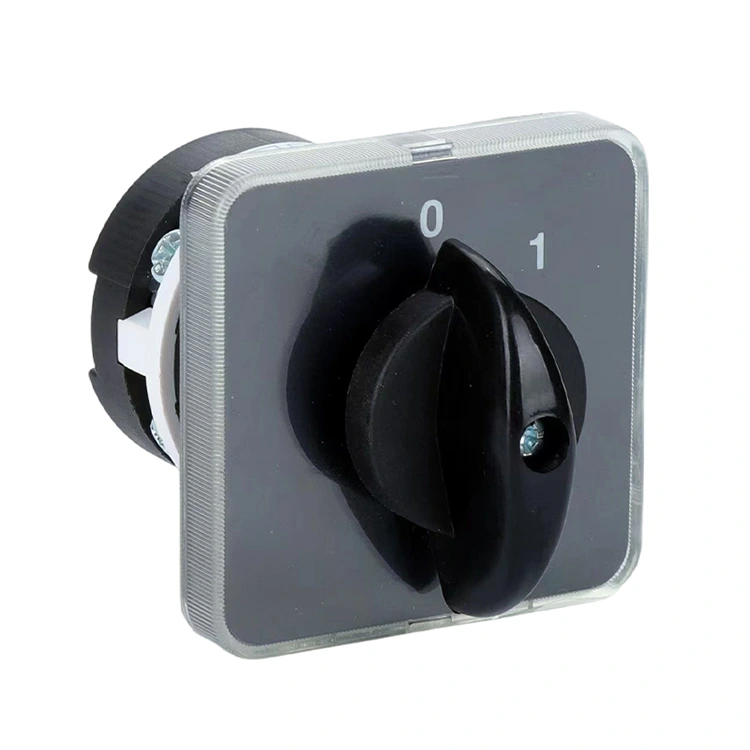 LW31 20A AV-PÅ Tvåpositionskombinationsroterande kamomkopplare